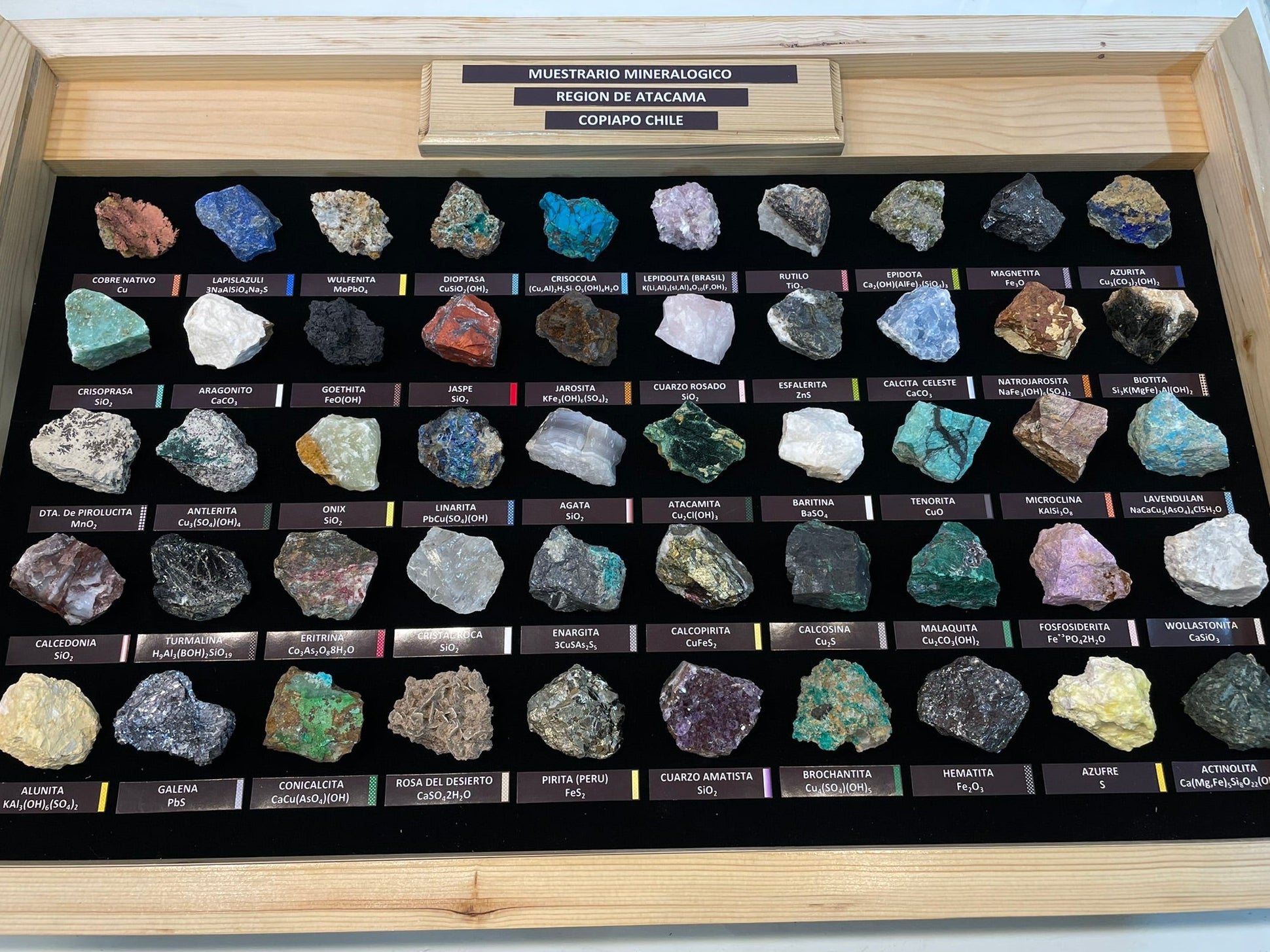 Muestrario Alta Gama XL