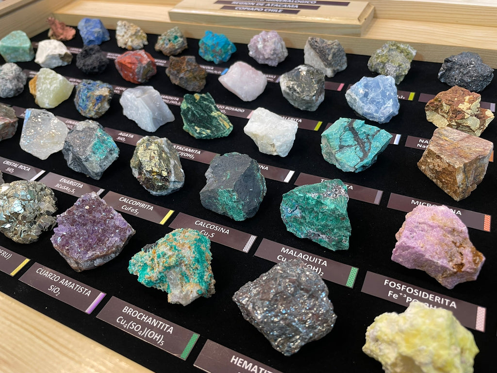 Muestrario Alta Gama XL