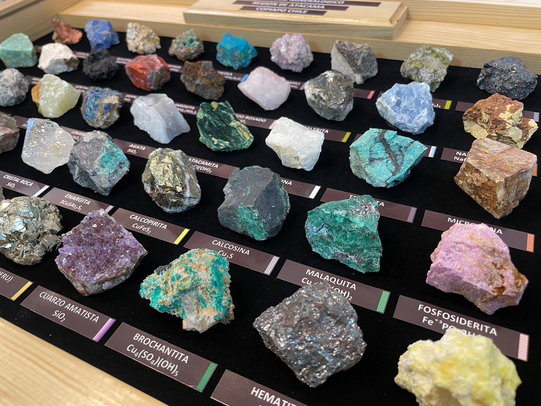 Muestrario Alta Gama XL