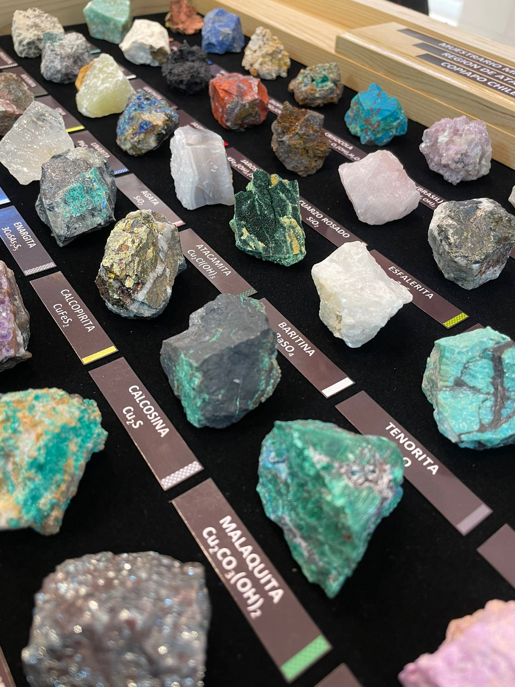 Muestrario Alta Gama XL